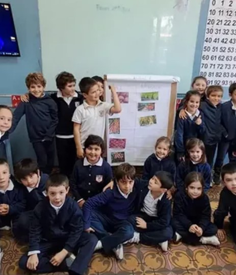 Proyecto Bilingüe de Form 1