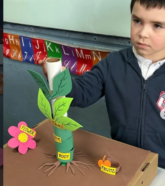 Bilingual Education en Primary